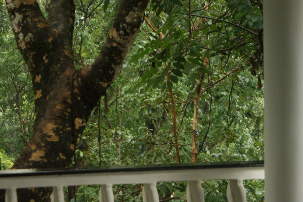 Horn Bill Cottage Thekkady Exterior photo